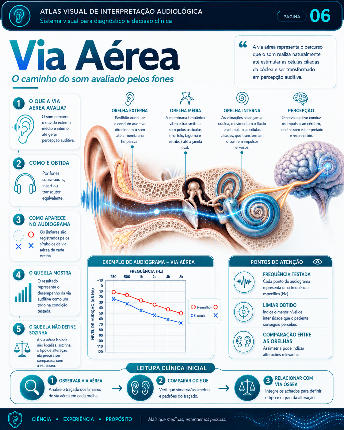 Amostra real do Atlas Visual de Interpretação Audiológica