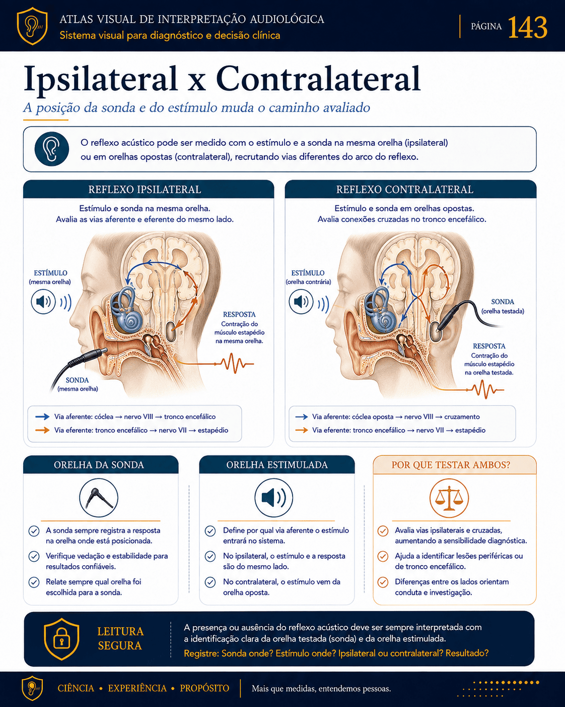 Amostra visual de interpretação audiológica